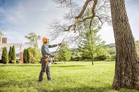 How Our Tree Care Process Works  in  Hallstead, PA